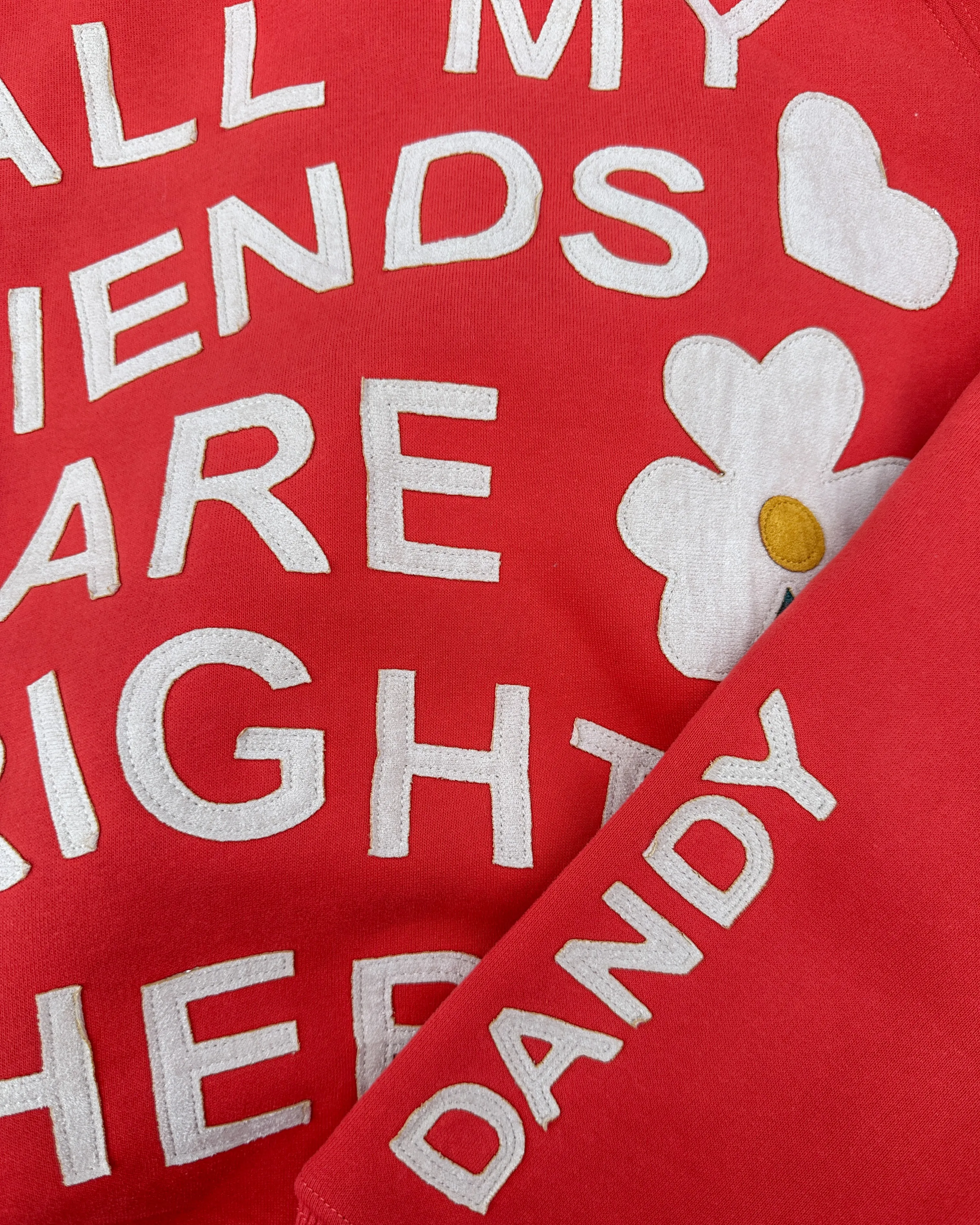 product sustainable future "All my Friends" Oversized Lux Hoodie in Red