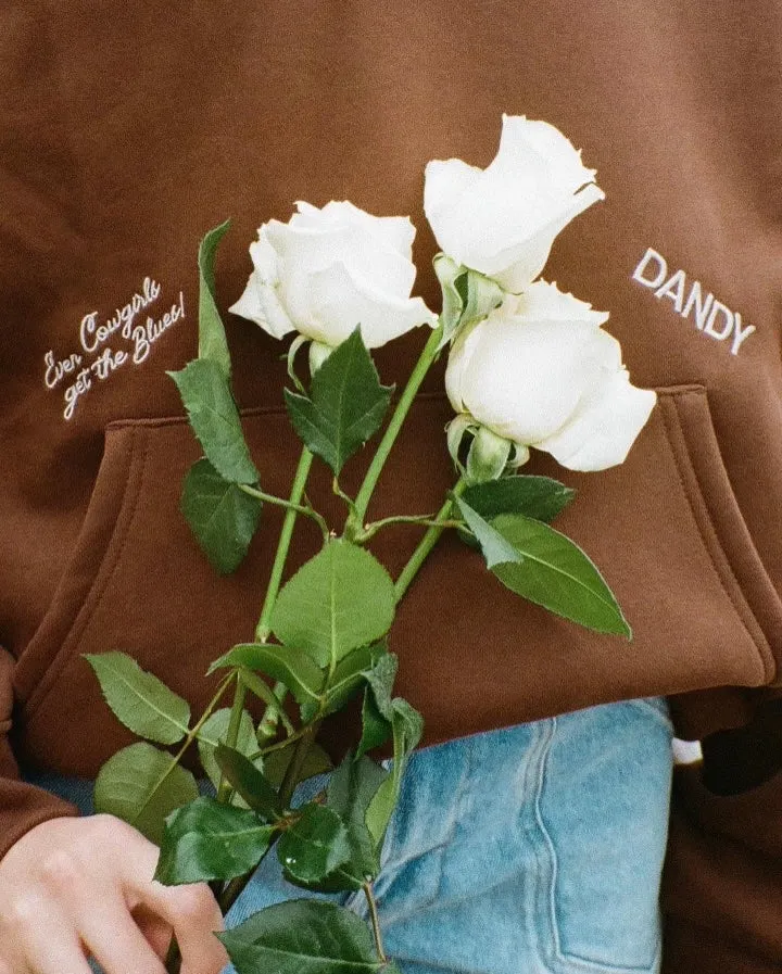 "Cowgirl" Oversized Lux Hoodie in Brown sunny day wear