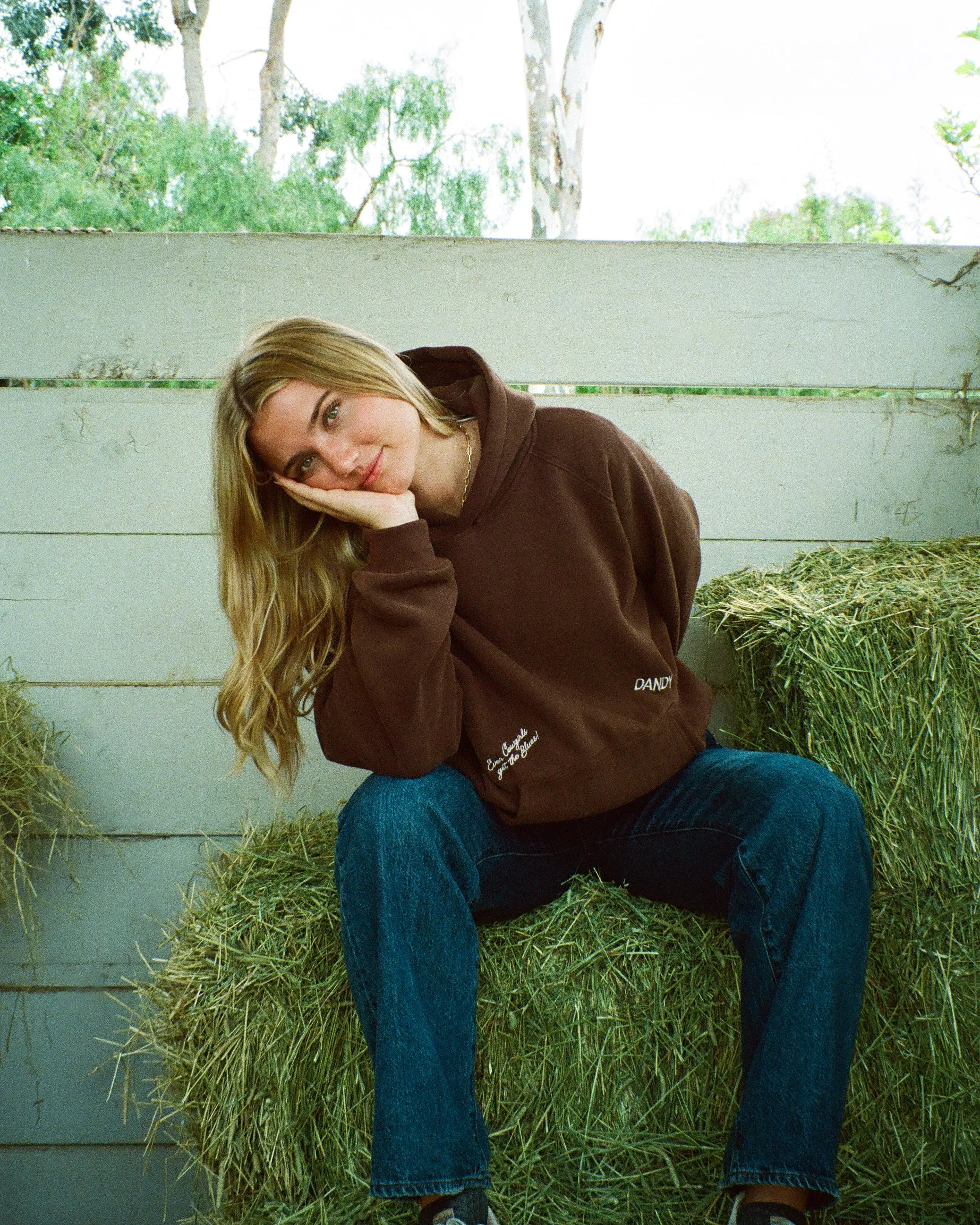 "Cowgirl" Oversized Lux Hoodie in Brown Classic Minimal Drawstring Hood